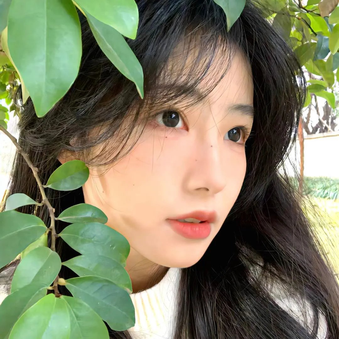 我的朋友是萌鲨