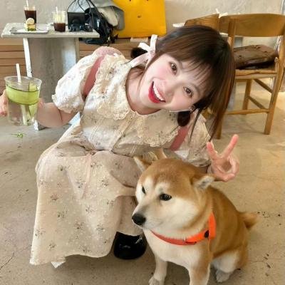 红槐花